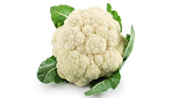 زهرة